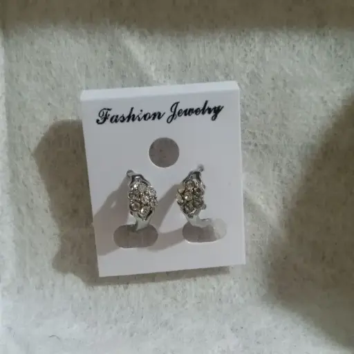 Coated Earrings